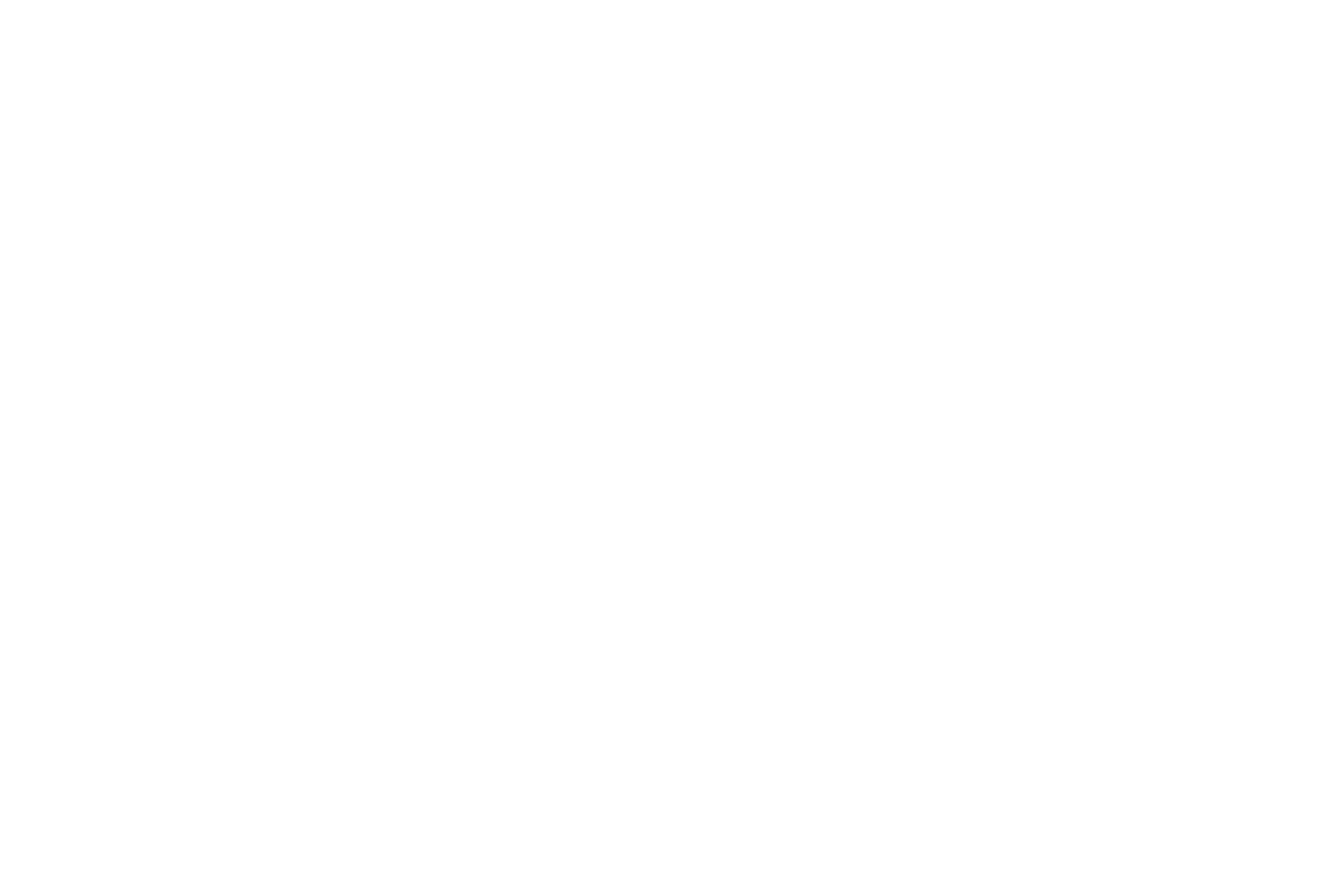 FCL Full Cargo & Logistic Service